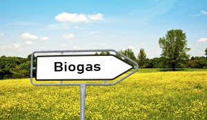 Biogas 22